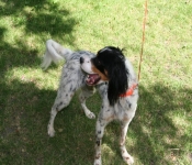 July4th 2009 051